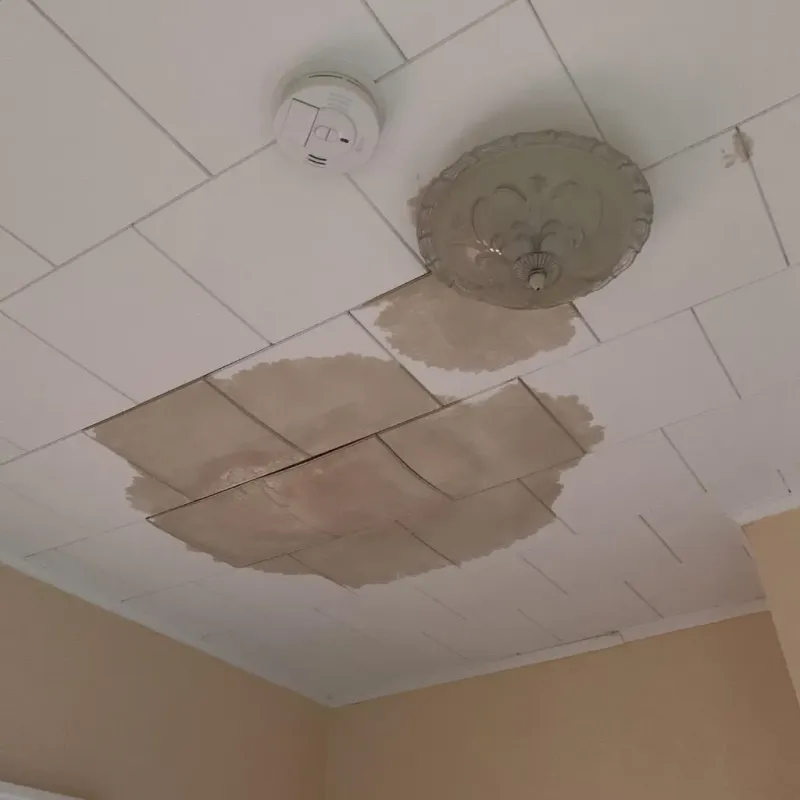 Ceiling Water Damage Repair in Mendon, VT