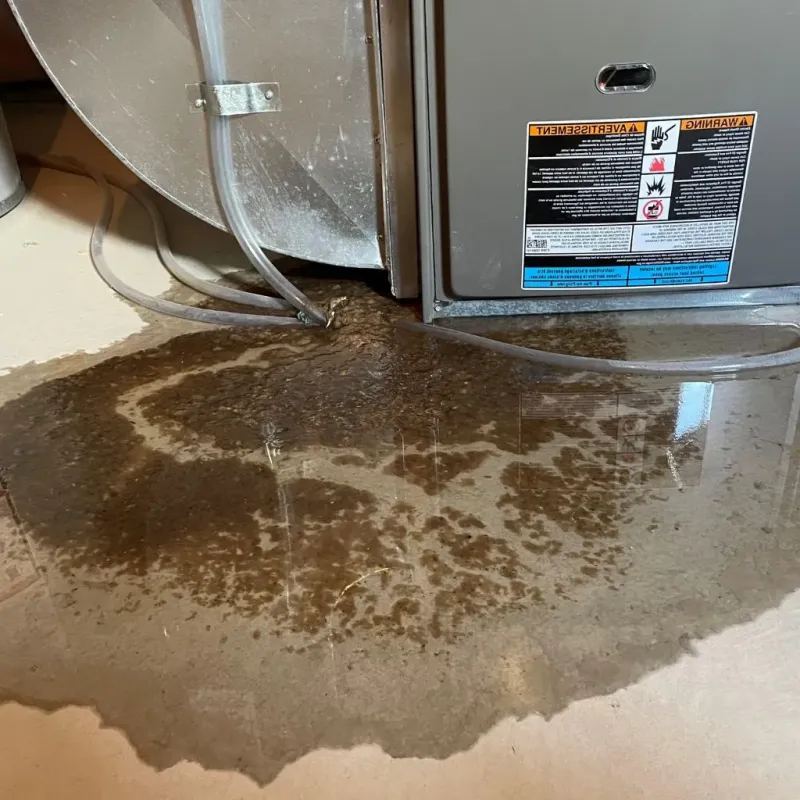 Pipe Burst and Leak Restoration in Mendon, VT