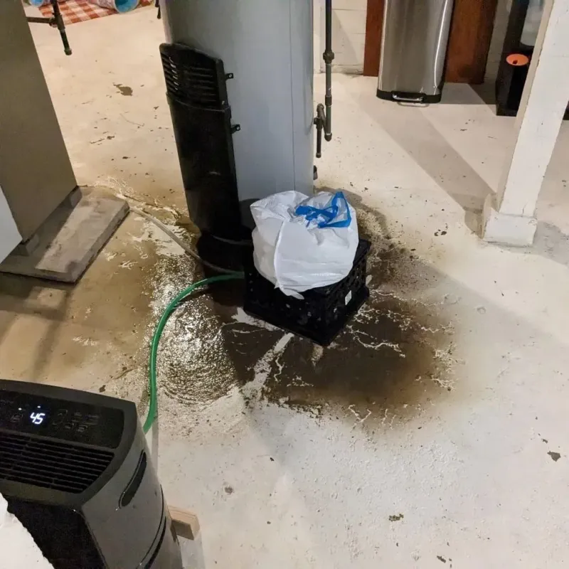 Sewage Backup Cleanup Service in Mendon, VT